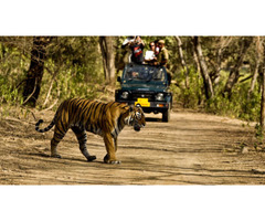 Delhi-Corbett National Park Weekend Tour - Image 2/3