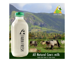 Fresh Cow Milk Dealers in Chennai - 1