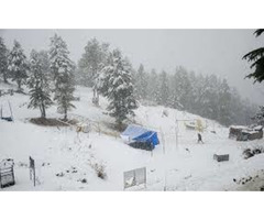 ENJOY SHIMLA HILLS WITH LESS PRICE TOUR PACKAGE - Image 4/4
