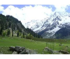 •	Kashmir Honeymoon Tour Package - Image 4/4