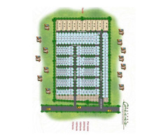 100 yard plot for sell near ghalla mandi rampur nature green colony rampur up - Image 1/4