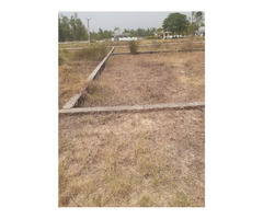 100 yard plot for sell near ghalla mandi rampur nature green colony rampur up - Image 2/4