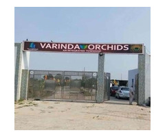 PLOT IN VRINDAVAN NEAR PREM MANDIR AND ISKON TEMPLE - 1
