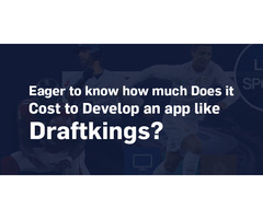 Fantasy Sports Tech | Fantasy Football App Development Company - Image 5/5