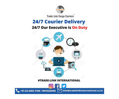 International Courier Services in Andheri East Cheap Courier Company for USA - Image 1/2