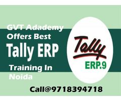 Tally Training institute in Noida-GVT Academy - 1