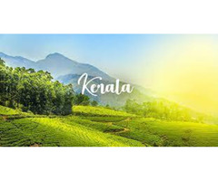 3 Nights4 Days Kerala - Munnar & AlleppeyPackage - Image 3/4