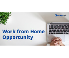 Work From Home Opportunity at SurveysLegit.com - Image 1/2