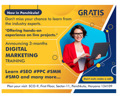 3 Month Digital Marketing Institute In Panchkula - 1