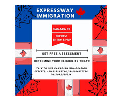 Expressway immigration consultancy services - Image 2/10