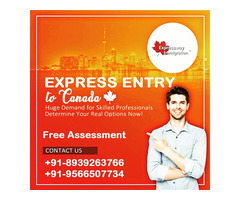 Expressway immigration consultancy services - Image 4/10