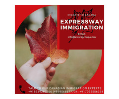 Expressway immigration consultancy services - Image 6/10