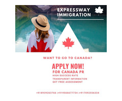 Expressway immigration consultancy services - Image 7/10