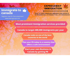 Expressway immigration consultancy services - Image 8/10