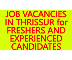 BEST JOBS IN THRISSUR- WE ARE HIRING! JOB VACANCIES IN THRISSUR for FRESHERS, EXPERIENCED CANDIDATES - Image 2/10