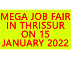 BEST JOBS IN THRISSUR- WE ARE HIRING! MEGA JOB FAIR IN THRISSUR ON 15 JANUARY 2022- JOB VACANCIES - Image 2/10