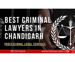 Criminal Lawyers in Chandigarh - 1