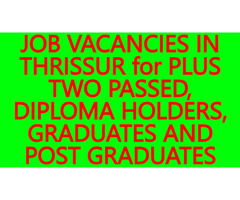 BEST JOBS IN THRISSUR- WE ARE HIRING- JOB VACANCIES IN THRISSUR for COLLEGE DROPOUTS, DEGREE FAILED - Image 5/10
