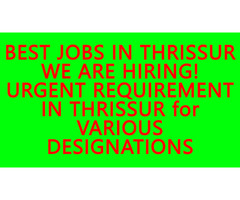 BEST JOBS IN THRISSUR- WE ARE HIRING- MEGA JOB FAIR IN THRISSUR ON 19 JANUARY 2022- JOB VACANCIES - Image 4/10