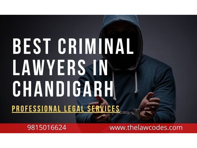 Criminial Lawyers in Chandigarh - 1/1