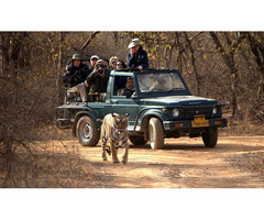 Ranthambore Online Jeep Safari Booking - Image 1/5