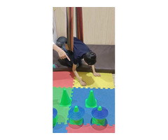 Best Occupational therapy in noida - Image 1/2