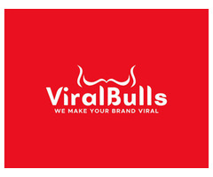 ViralBulls Digital Media Marketing Agency - Image 2/2