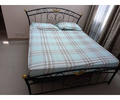 Queen Wrought Iron Bed with Mattress - Image 1/2