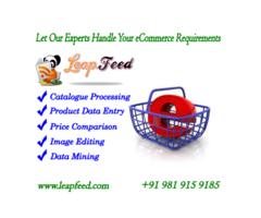 Data feed Management Services for Online Business - Image 1/3