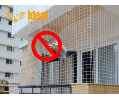 Pigeon Netting Service in Bangalore - 1