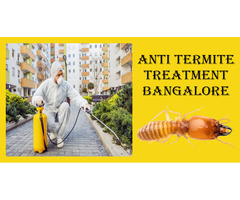 Anti Termite Control in Bangalore | Wood Borer & Lizard Pest - 1