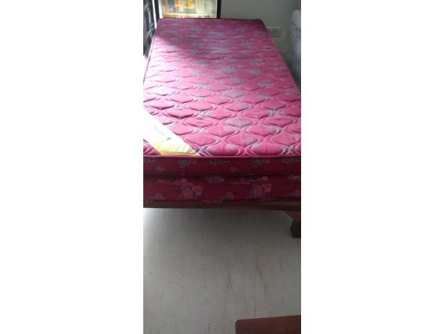 sleepwell flexi coir mattress