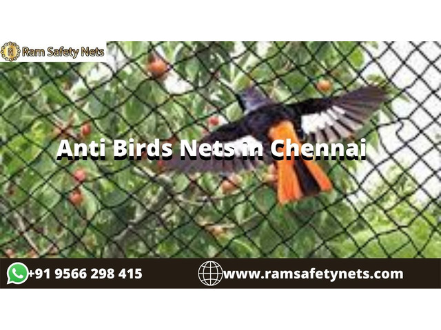 Anti Birds Nets in Chennai - 1/1