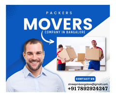 ECONOMICAL PACKING & SHIFTING SERVICES IN BANGALORE - Image 8/8