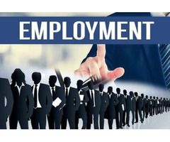 Find best Job vacancy in corel draw | corel draw jobs in Delhi - job vacancy result - Image 1/4