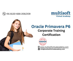 Oracle Primavera P6 Corporate Training Certification - Image 1/3