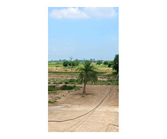 luxuries plots for sale Chandigarh-Ludhiana highway road NH-95 - 6