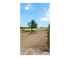 luxuries plots for sale Chandigarh-Ludhiana highway road NH-95 - 8