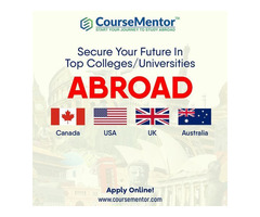 Course Mentor-Study Abroad - Image 2/3