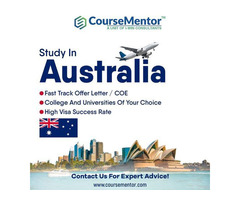 Course Mentor-Study Abroad - Image 3/3