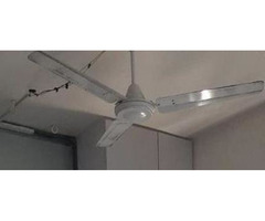 Ceiling fan - 1