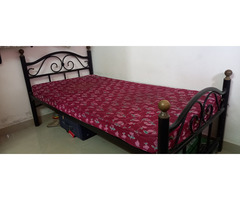 Iron/metal cot and mattress - 1