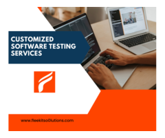 Customized software testing services - Image 1/2