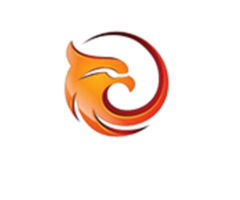 Travel Aguila Agencia de viajes en India - 1