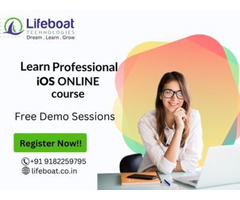 Lifeboat Technologies - Software Training Institute - Image 5/9