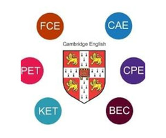 University Counselling and Exam Prep: SAT,ACT, TOEFL,IELTS, CAE-CPE, FCE, PET,PTE,GMAT, GRE,CAT - Image 3/8