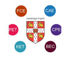 University Counselling /English Prep:SAT,ACT, TOEFL,IELTS, CAE-CPE, FCE, PET, PTE , GMAT, GRE, CAT - Image 2/8