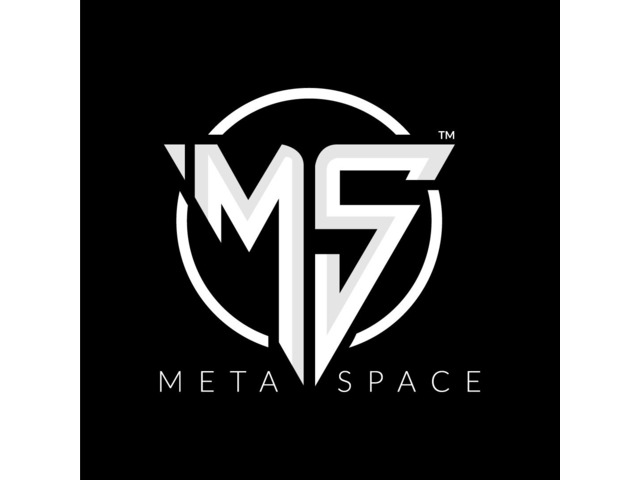 MetaSpace welcomes you to enter its metaverse - 1/1