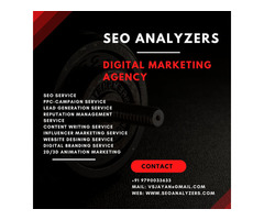 SEO Analyzers — Digital Marketing Agency in Chennai - Image 1/4