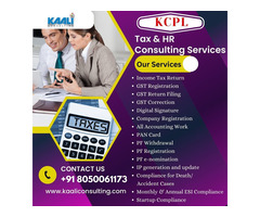 Kaali Consulting, India's Top Consultancy Services - Image 1/10